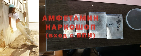 крисы Новозыбков