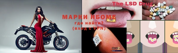 крисы Новозыбков