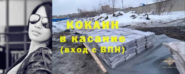 стафф Алексин
