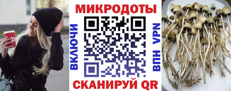 Псилоцибиновые грибы ЛСД  omg tor  Краснознаменск 